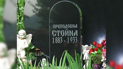 В "Денят на живо" на 24 декември от 17:20 ч. ще видите