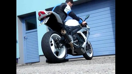 Gsx R 600 K8 K9 Shark Factory 