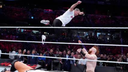 Shane McMahon leaps from the top rope to take down Sheamus: Royal Rumble 2019 (WWE Network Exclusive)