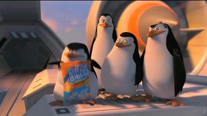 пингвините от дупница