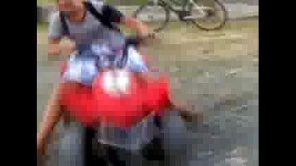 Milen_lz1(1)