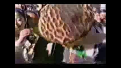 Funny Gwen Stefani