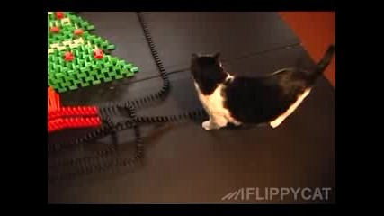 Cat Knocks Down Christmas Tree