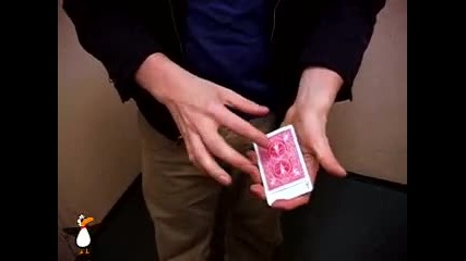 Penguin Magic - Starry Eyed Surprise 2