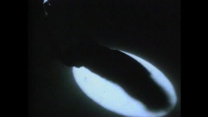 Steelheart - She's Gone