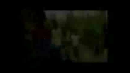 Tree - Man - Discovery