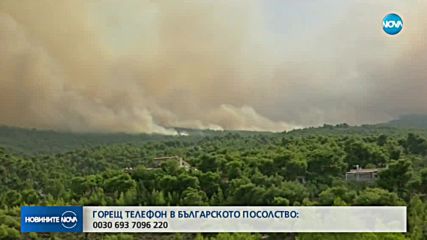 ОГРОМНИ ГОРСКИ ПОЖАРИ: Евакуация на цял квартал в Атина