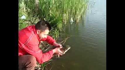 Първо Амурче За 2008г 015.avi