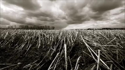 Dark Soul Project & Solar Sphere - Sunshine Night (nikko.z Cloudy Remix)