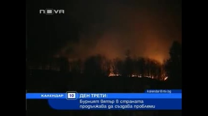 Над 200 сигнала за поражения от бурния вятър 