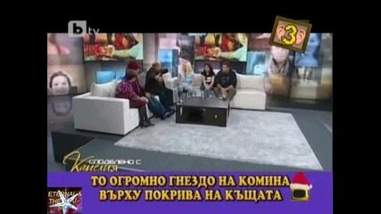 Господари на ефира, 22 декември 2010 