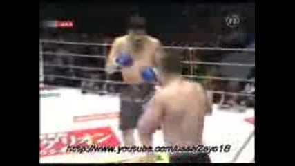 Mirko Quotcro Copquot Filipovic Vs Hong Man Choi