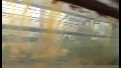 Greenhouse Session 09