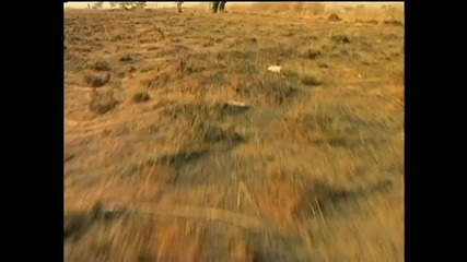 (1997) Lord Kemy ft. Lady Lu, Sheick Shaker Bakouti