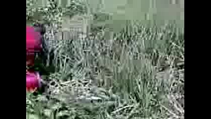 Видео010 