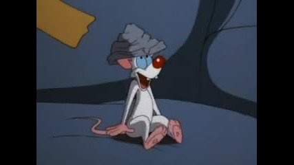 Pinky and the Brain,ep. 35