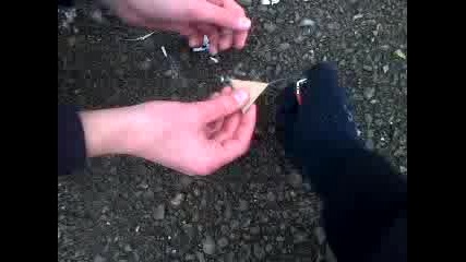 Пиратка под консервена кутия