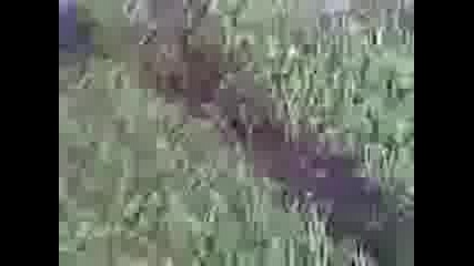 Video003