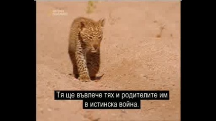 Хищници На Война - Част 6