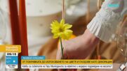 „Живей красиво”: Трикове за красиво подредена и ефектна маса