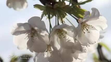 Frederic Delarue -сутpин с пpолетно настpоение