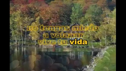 8 - no pares - rbd karaoke.mp411 - salvame - rbd karaoke 