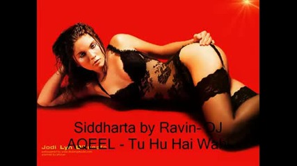 Siddharta by Ravin Dj Aqeel Tu Hu Hai Wahi