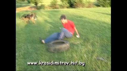 Stambini Се Пребива Като Куче 2007