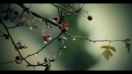 Страхотно - Agravic - B M X Montage