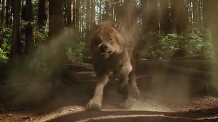 The Twilight Saga New Moon 