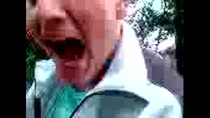 Divaci Godech