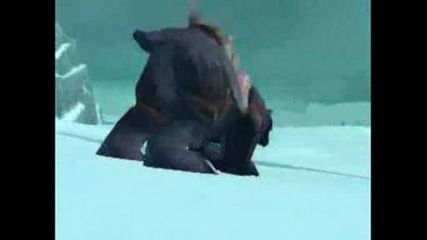 Wotlk New Mount - Bear Mount