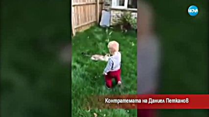 Контратемата на Даниел Петканов (30.11.2017)