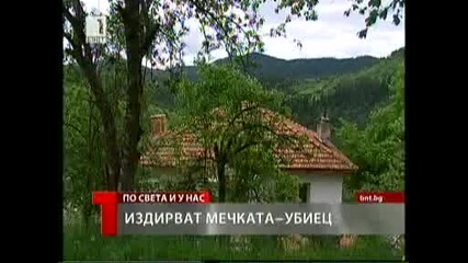 ужас - мечка уби 65г човек !!!