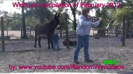 Компилация от Февруари 2012