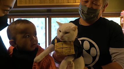 Meet Koyuki the Cat Priest