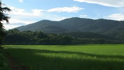 Relaxing Music - Nature Scenes 3