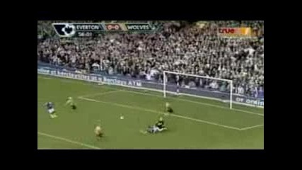 17.10.2009 Евертън - Уулвърхямптън 1 - 1