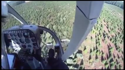 Пилот на хеликоптер бързо товари коледни елхи