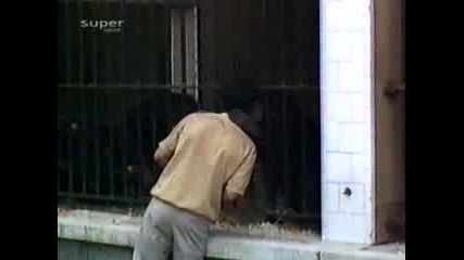Целуни го да се засмее.flv