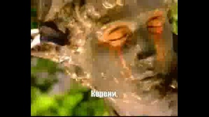 Sepultura - Roots Bloody Roots [bg Subs]