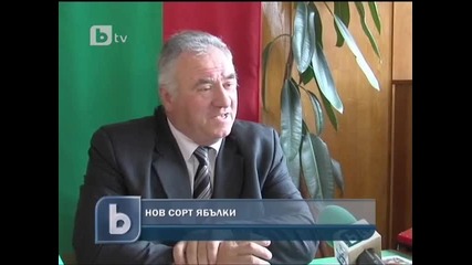 Нoв сорт ябълки Бесепара, имат ли общо с червените Бсп?