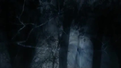 Secrets Lies