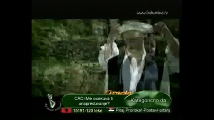 Al Dino - Kopriva.avi