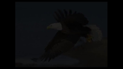The Kelly Family - Eagle on the breeze 