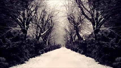 • Skynetics - The Shepherd