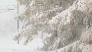 Обилен снеговалеж и силни ветрове блокираха Ню Йорк