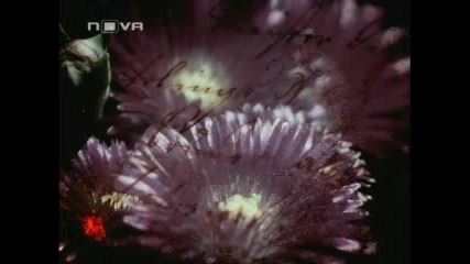 nezabravima - 2010 - 07 - 08 