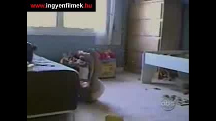 Hihi