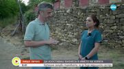 „Нищо лично”: Кателина, която загърби успешна кариера в търговията, за да бъде медицинска сестра